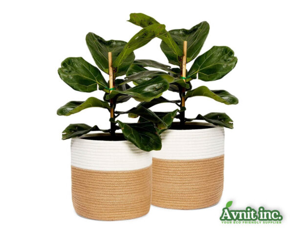 40101 EcoGrow Jute Natural Growth Planter 1