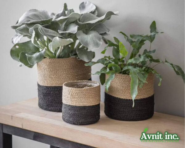 40103 NatureNurture Jute Plant Nurturer 1