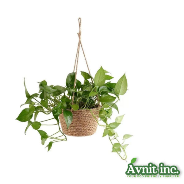 40205 EcoHang Jute Natural Plant Hanger